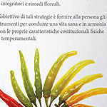 PRINT: Brochure for naturopath Loredana Tavaglione
